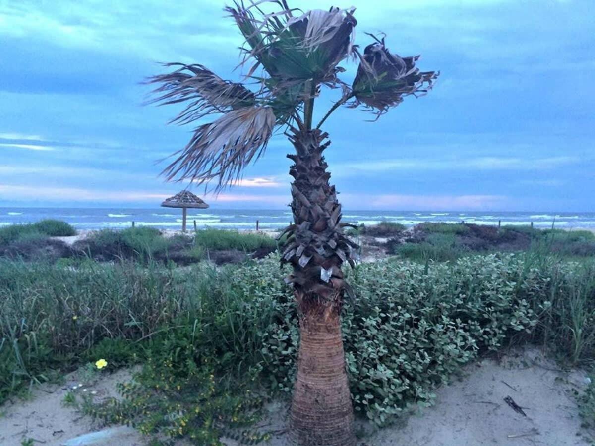 Fun In The Sun! Cozy Beach Pad, Gulf Views And Easy Access To The Sand! サーフサイド・ビーチ エクステリア 写真